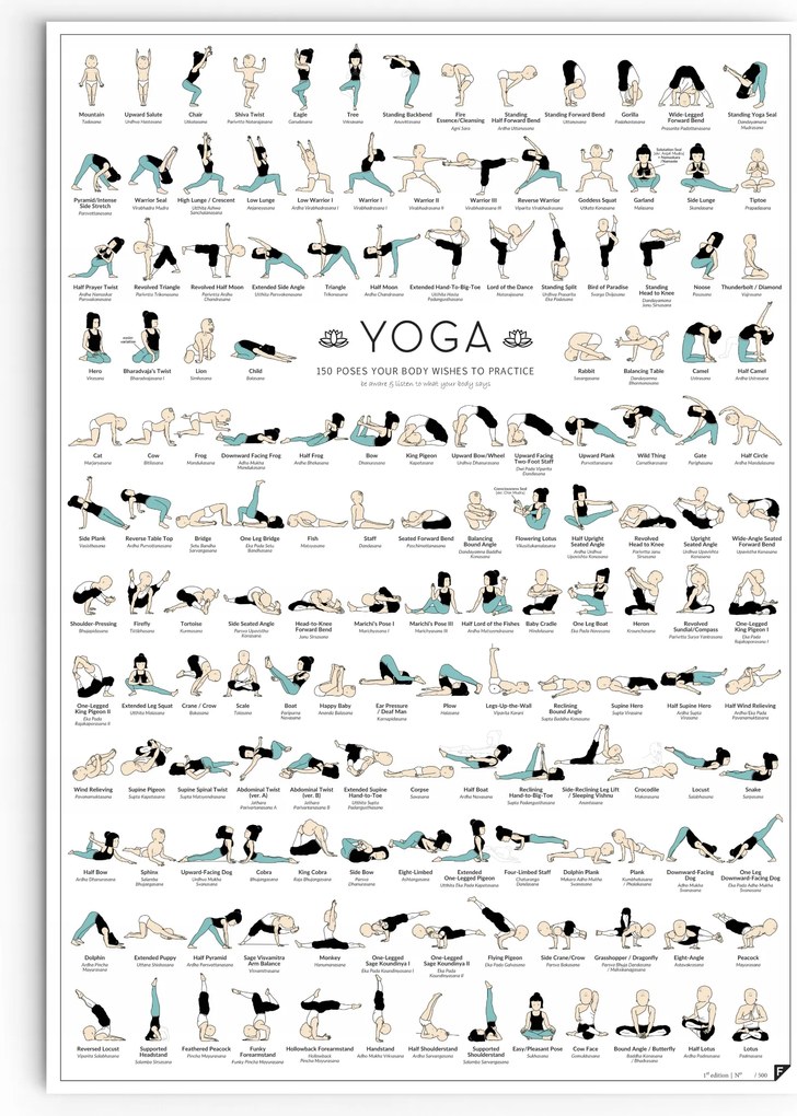 Jóga poszter ászanák 68x98 cm nehézségi fokozatok