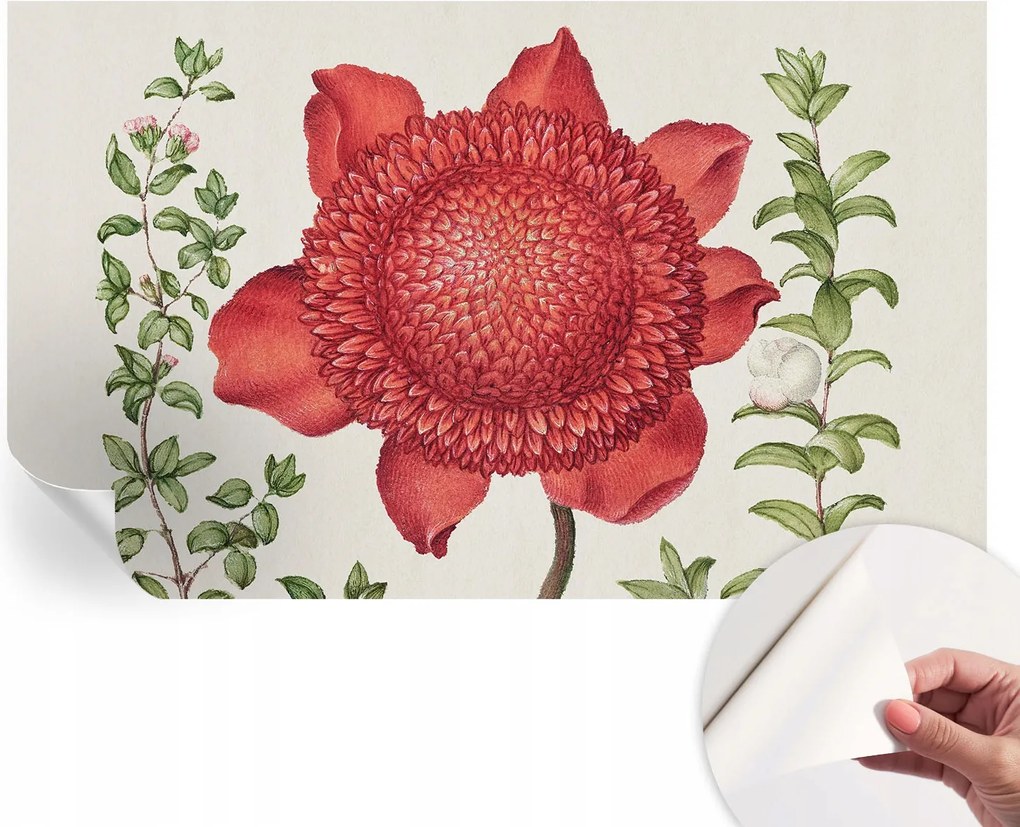 Matt öntapadós fotótapéta Falra Virágos elegancia 416x254 cm