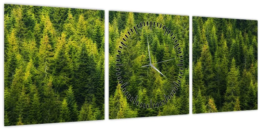Kép - sűrű erdő (órával) (90x30 cm)