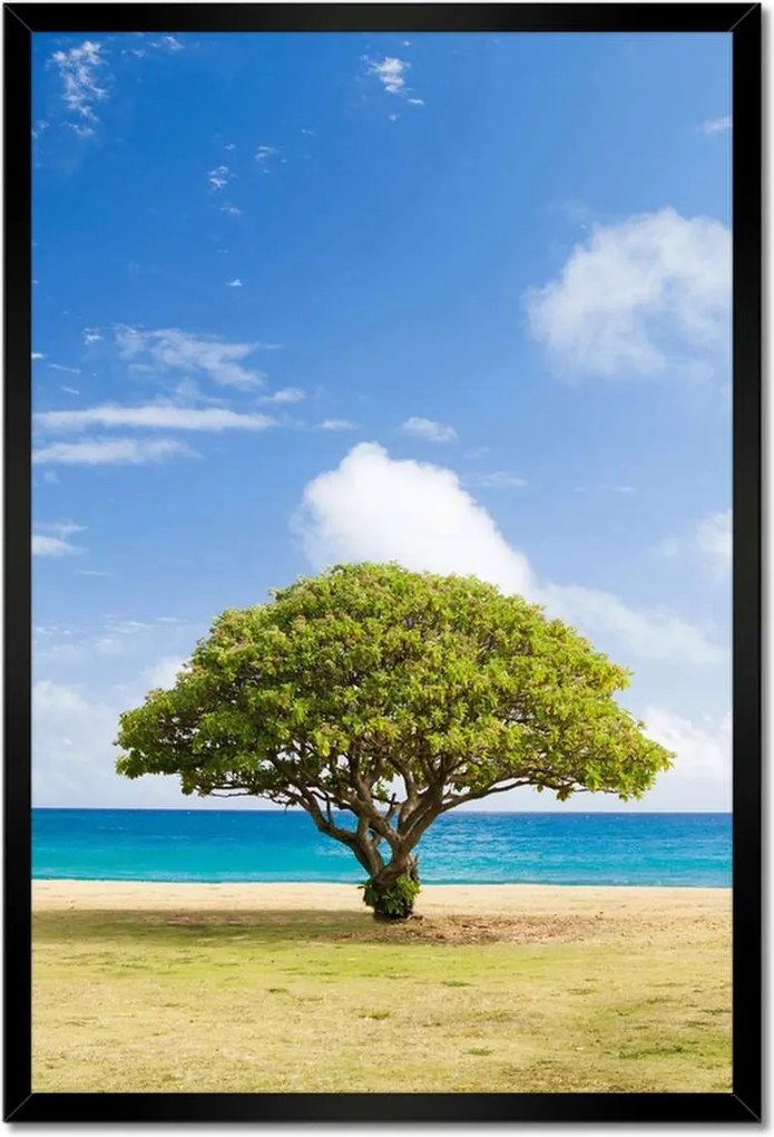 Poszterek keretben 40x60 Tájkép fával