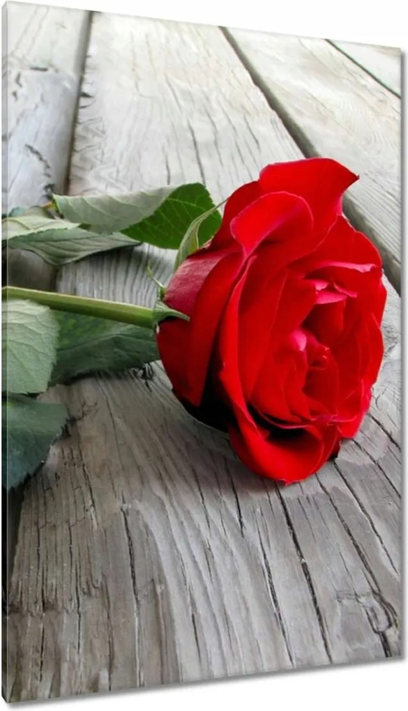 Vászonkép 80x120 Rózsa a deszkákon