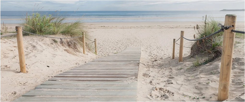 Fali fotótapéta előszoba konyhához Fa járda 250x104 Ragasztó