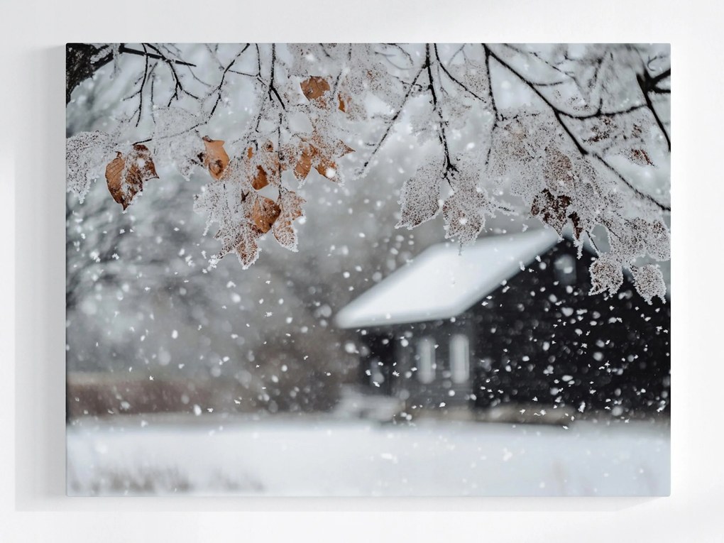 Poszter Tájkép Ház Fa Tél Hó Dér Jég Fagy 80x60