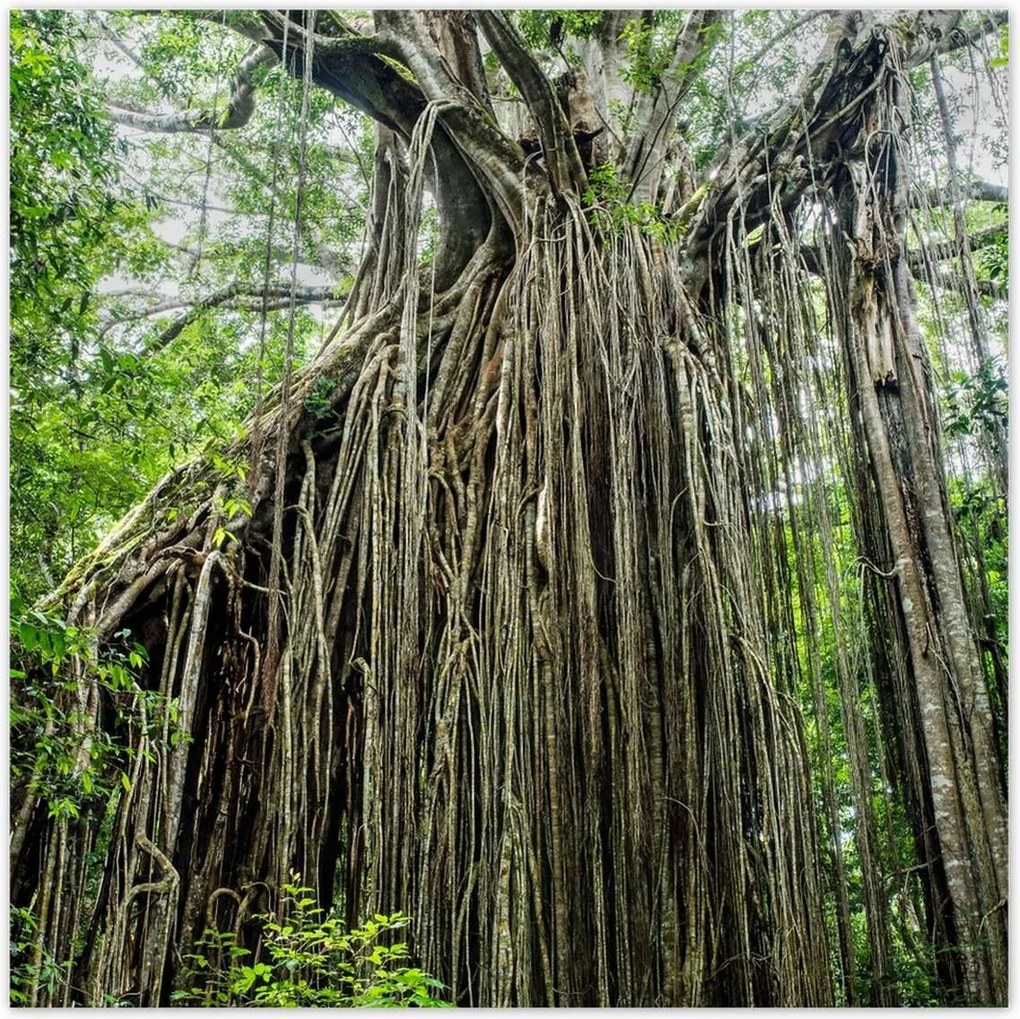 Poszterek 30x30 Tájkép Látvány