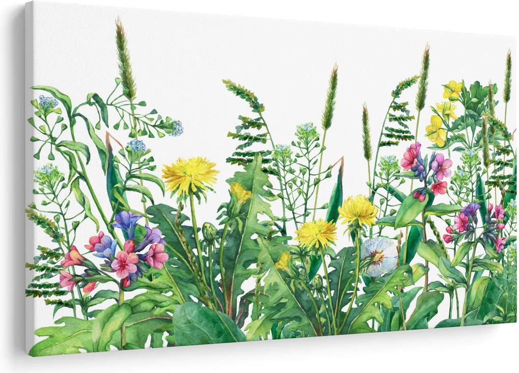 Kép - Festett réti virágok (90x60 cm)