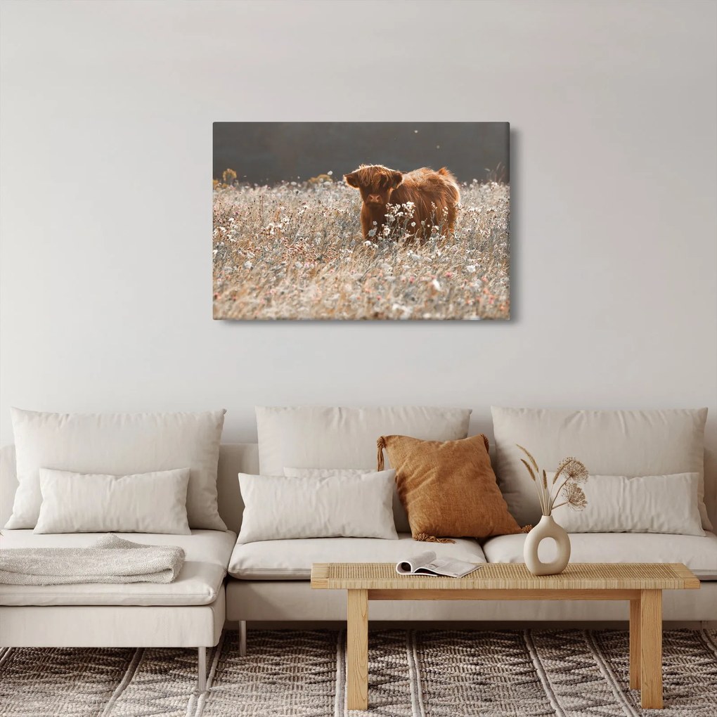 Kép - Skót tehén a virágban (90x60 cm)