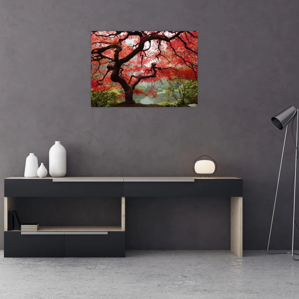 Red Japanese Maple, Portland, Oregon képe (70x50 cm)