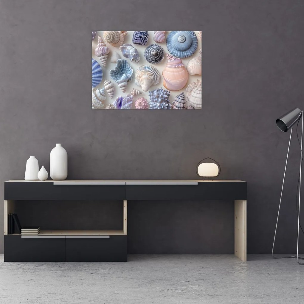 Üveg kép - Kagylógyűjtemény (70x50 cm)