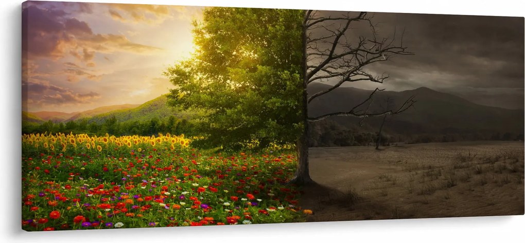 Kép - Életciklus (120x50 cm)