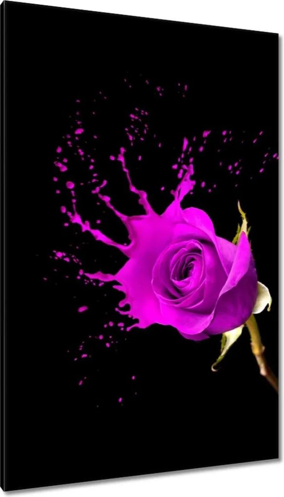 Vászonkép 80x120 Lila rózsa hatású