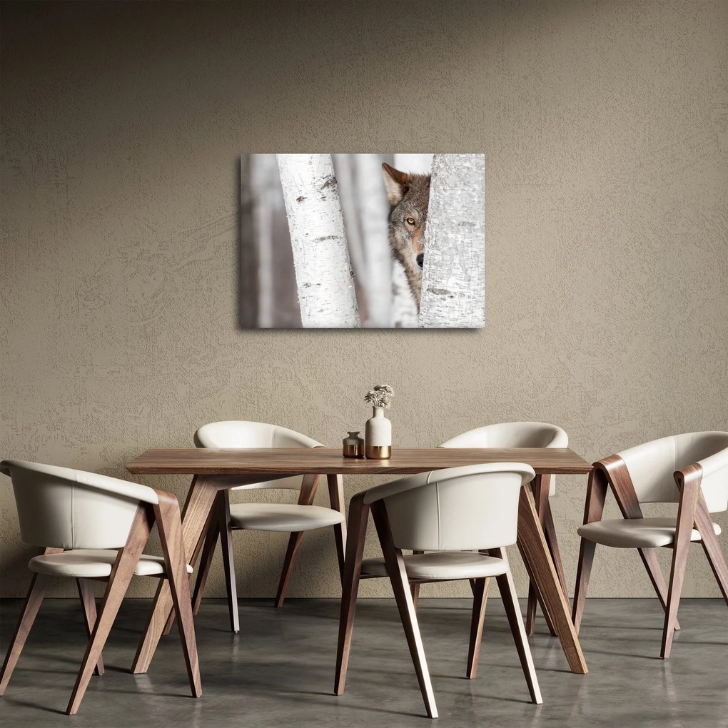Kép - Farkas (70x50 cm)
