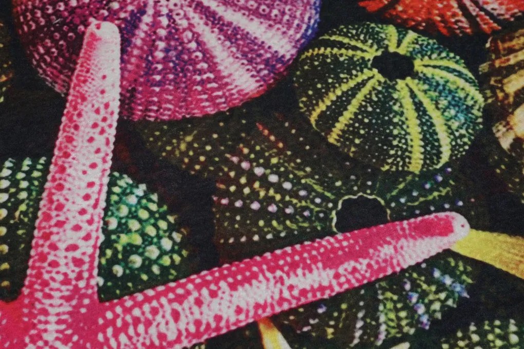 Estrella 120