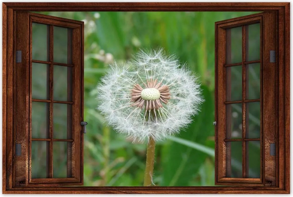 Poszterek 60x40 Pitypang Virág Virágok