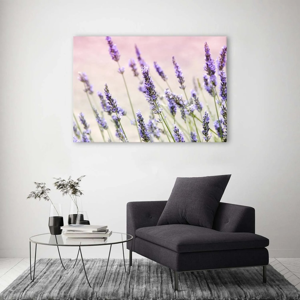 Gario Vászonkép Levendula virágok Méret: 60 x 40 cm