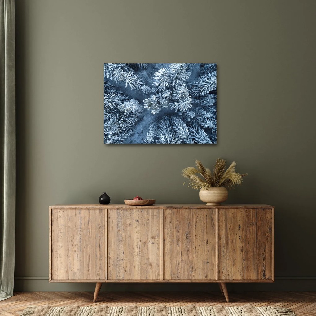 Kép - Havas erdő (70x50 cm)