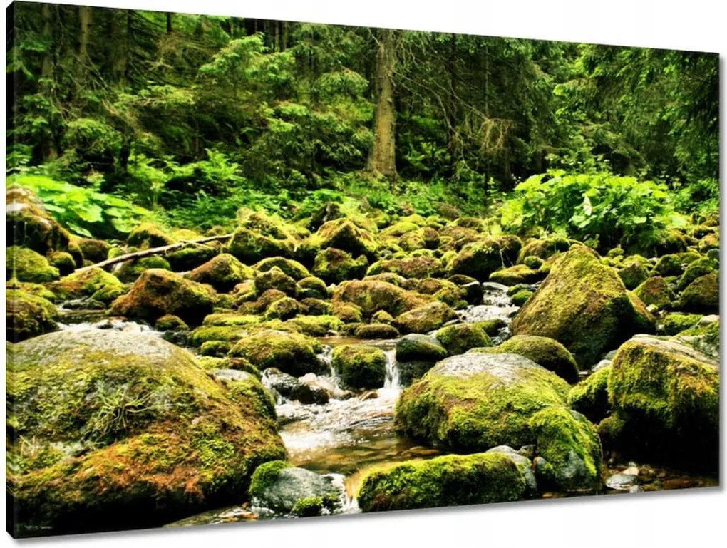 Vászonkép 90x60 Tátra Lengyel hegyek Kilátás