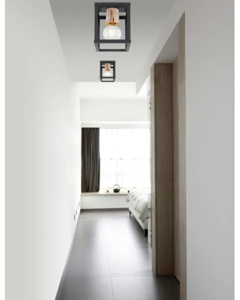 Globo 15476D - Mennyezeti lámpa HAGAR 1xE27/60W/230V