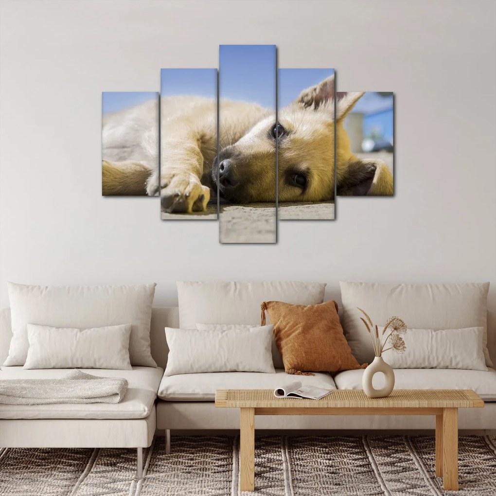 Fekvő kiskutya képe (150x105 cm)