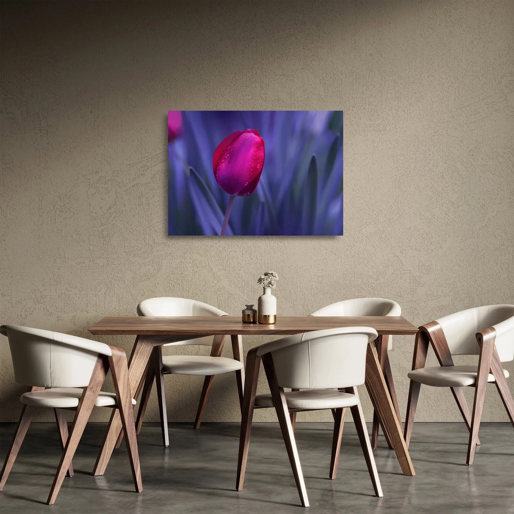 Tulipán bimbó képe (üvegen) (70x50 cm)