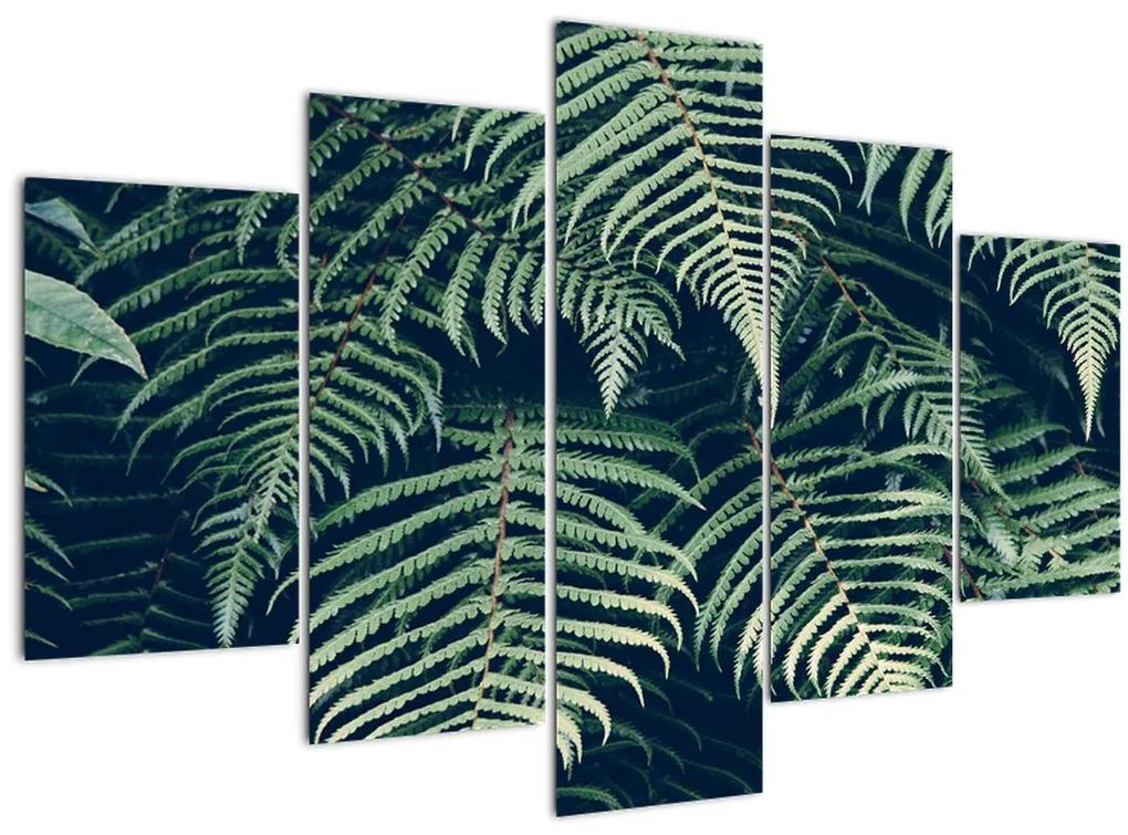 A páfrány levelek képe (150x105 cm)