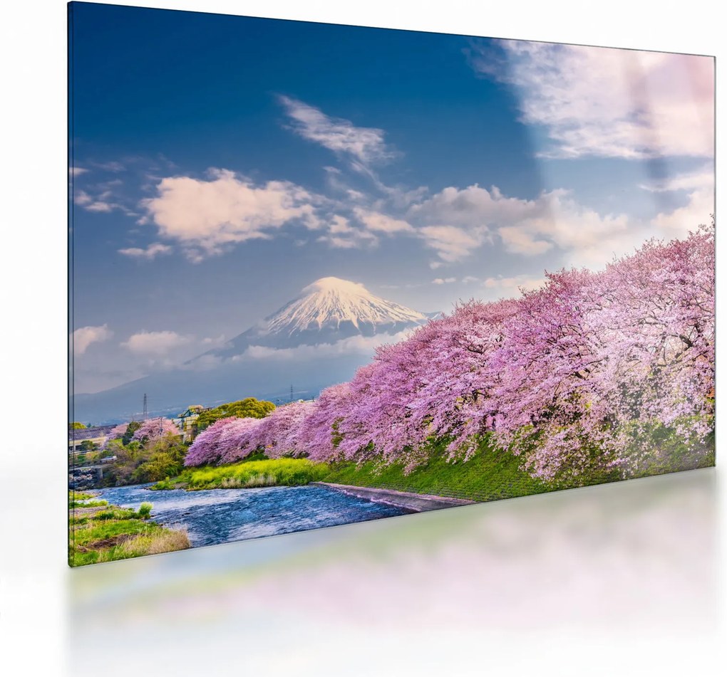Kép - Japán tavaszi táj (üvegen) (70x50 cm)