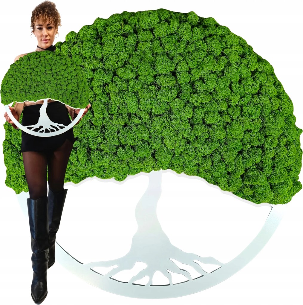 Kép Moha Élő Bonsai Fa Fali Dekoráció