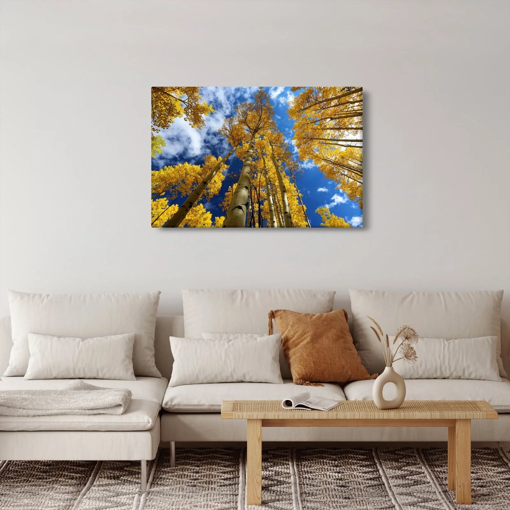 Kép - Aspen (90x60 cm)