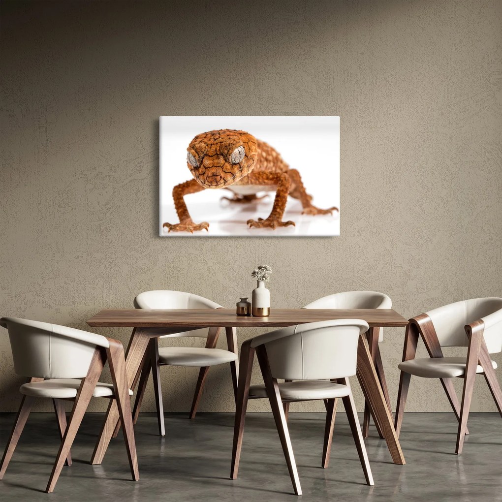 Gyík képe (90x60 cm)