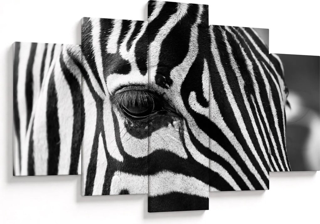 Zebra képe (150x105 cm)