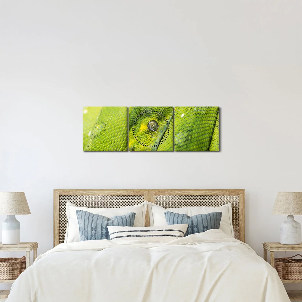 Kígyó képe (órával) (90x30 cm)