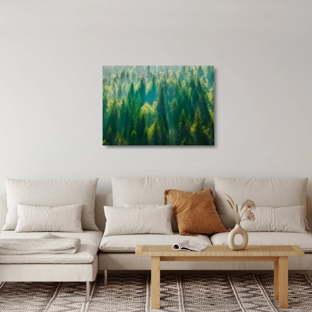 Kép - fenyőerdő (üvegen) (70x50 cm)