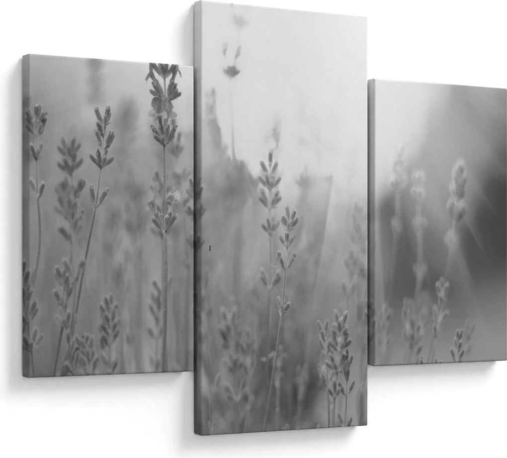 Kép - Levendula (90x60 cm)
