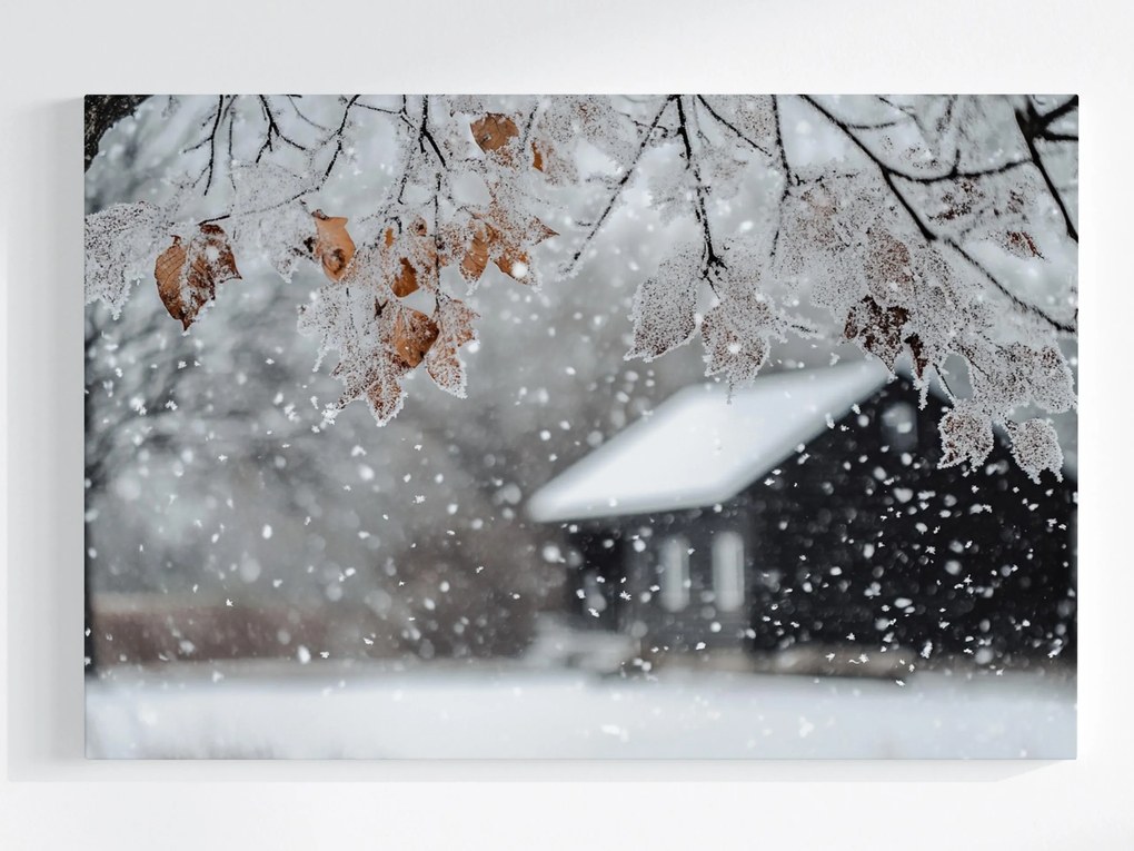 Vászonkép Canvas Tájkép Ház Fa Tél Hó Dér Jég Fagy 60x40
