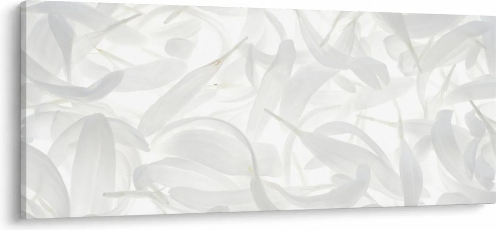 Kép - Szirmok (120x50 cm)