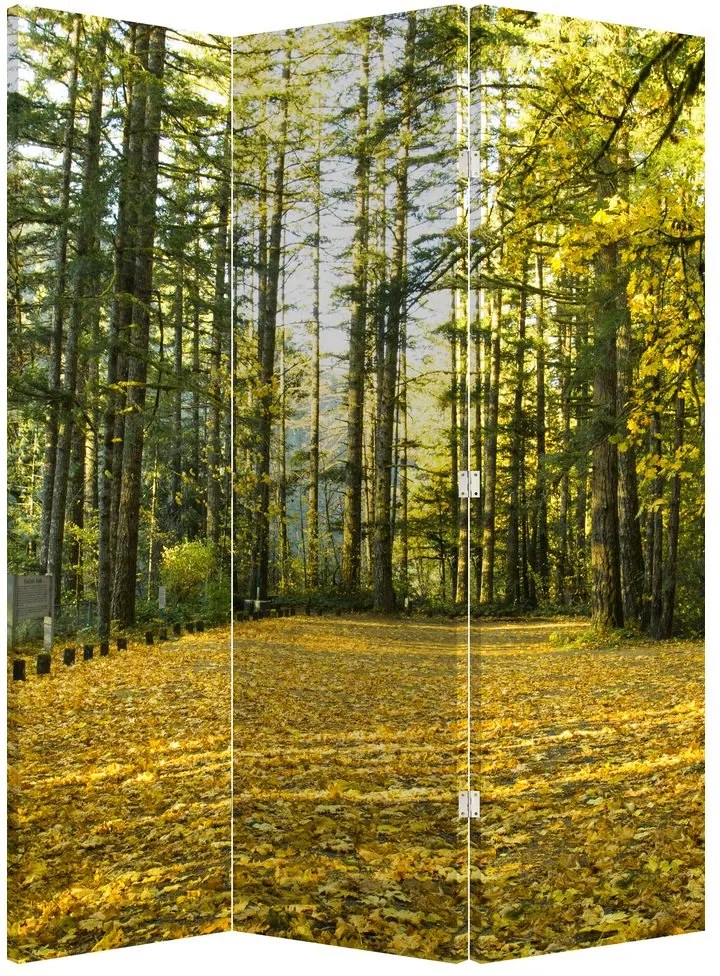 Paraván - Erdő ősszel (126x170 cm)