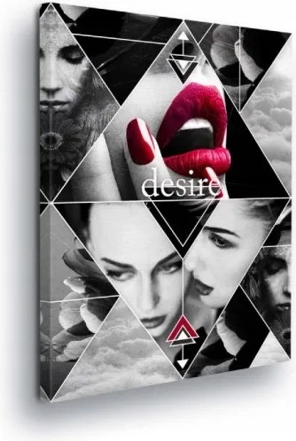 Vászonkép 60x80 Szenvedély vágy szépség érzelmek kontraszt piros ajkak arc