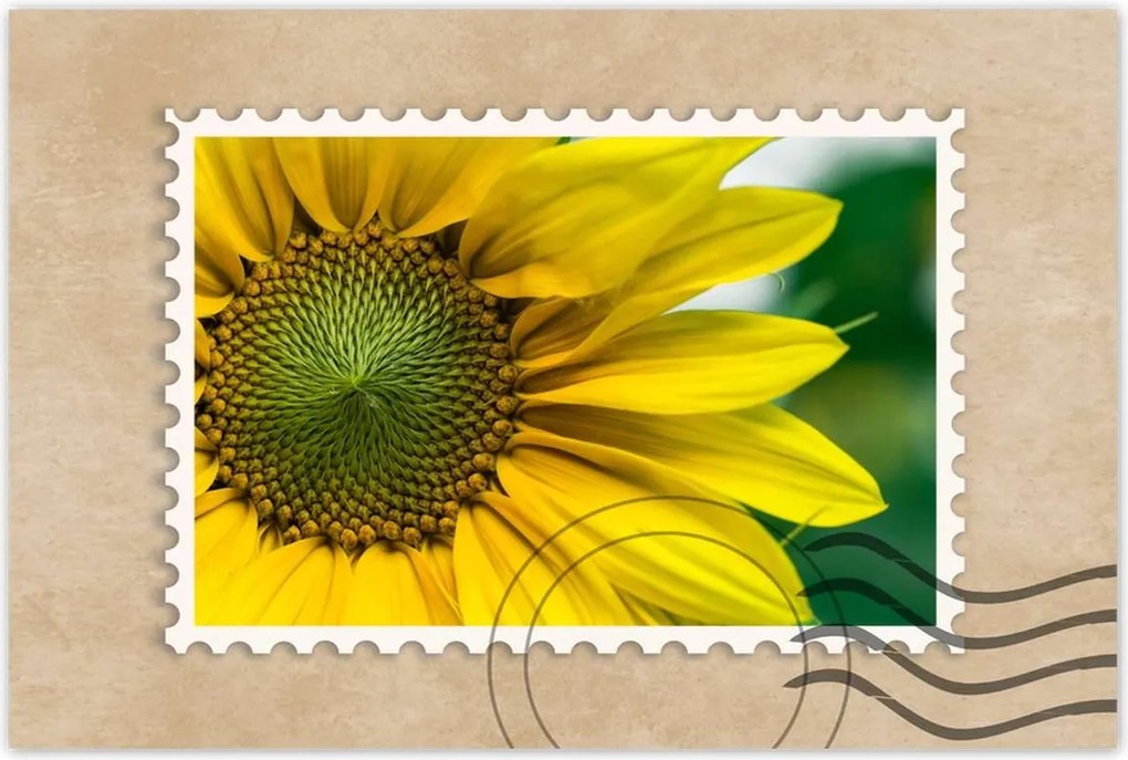 Poszter 60x40 Napraforgó Virág