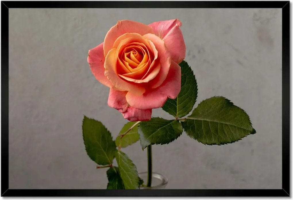 Poszter keretben 60x40 Rózsa Virág Virágok Rózsa