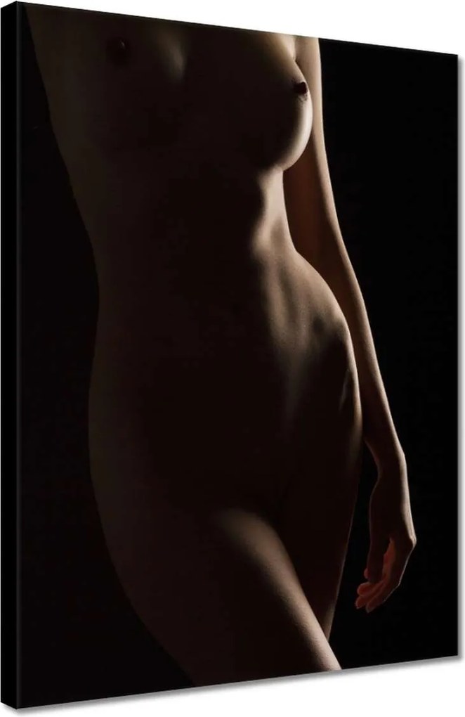 Vászonkép 30x40 Természetes szépség Érzéki éjszakai tekintet