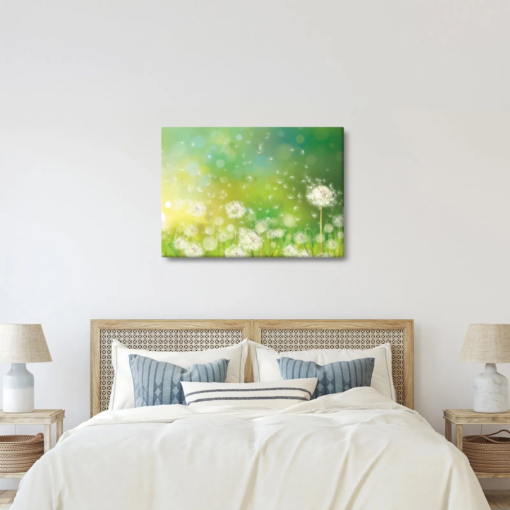 Kép - Virágozatlan pitypang (70x50 cm)