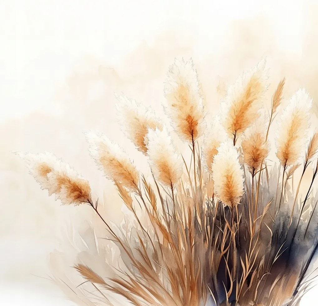 Vászonkép Canvas Természet Pampafű Nád Boho 80x80