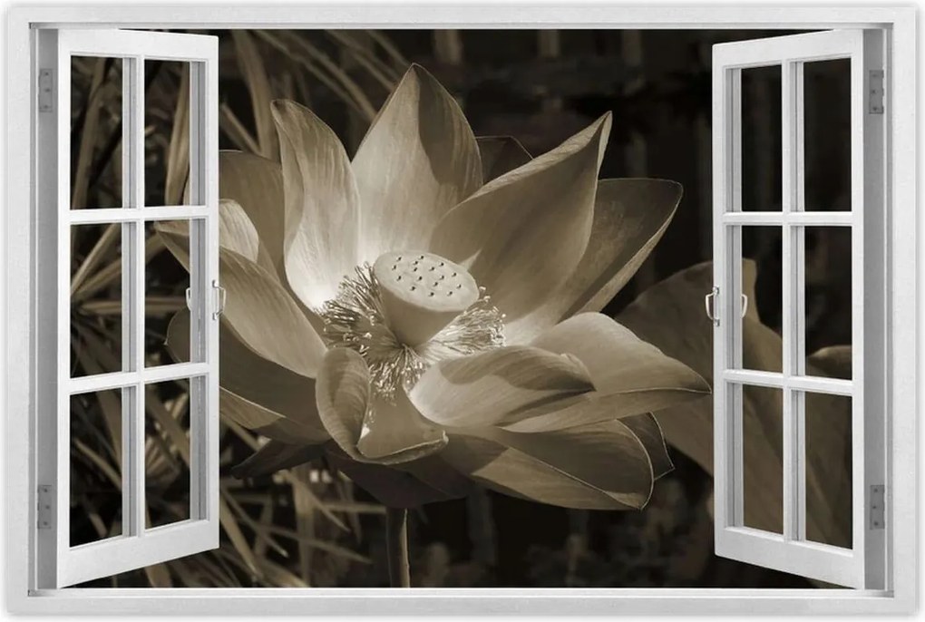 Poszterek 90x60 Lótusz Lótuszvirág