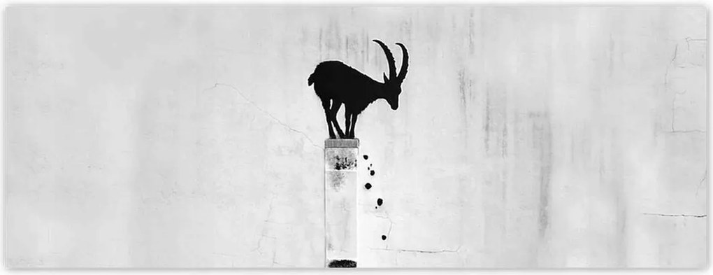 Fotótapéták 250x93 Kozica Banksy Hegyi gazella Nincs magánélet Falfestmény
