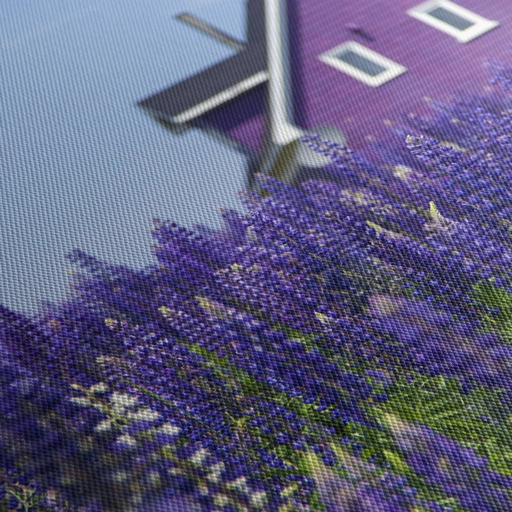 Levandula mező képe (120x50 cm)