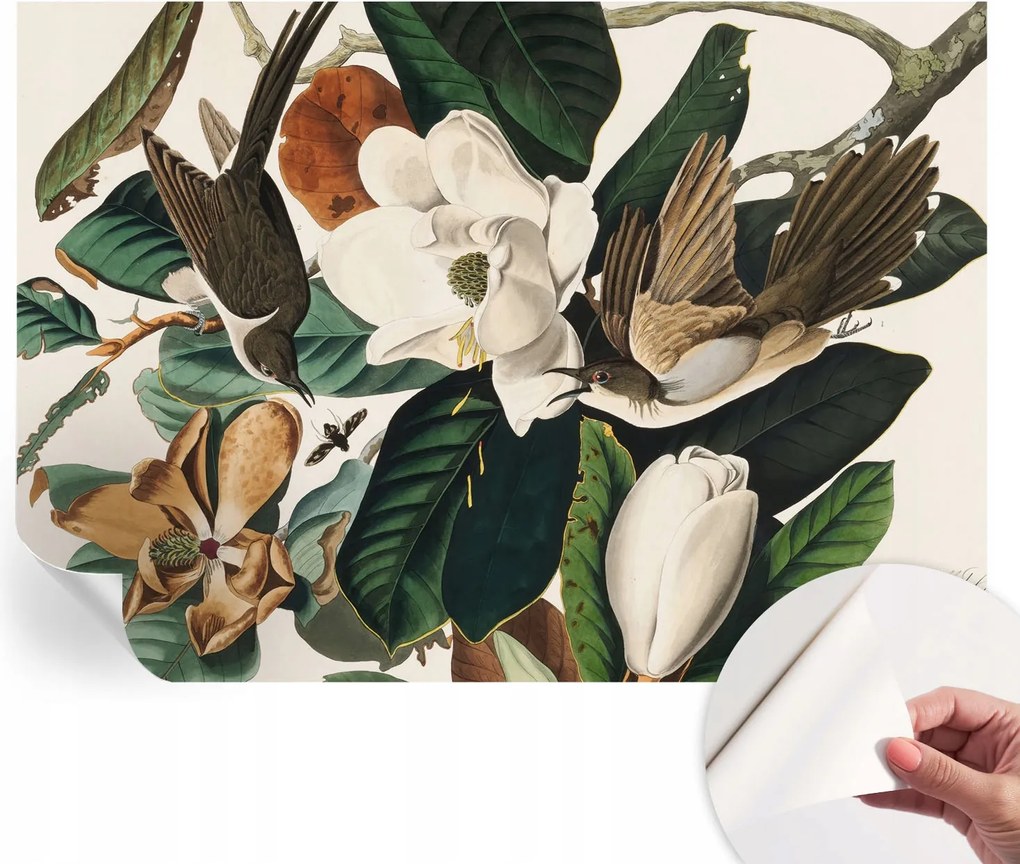 Modern öntapadós fotótapéta Mosható Madarak magnólia 312x219 cm