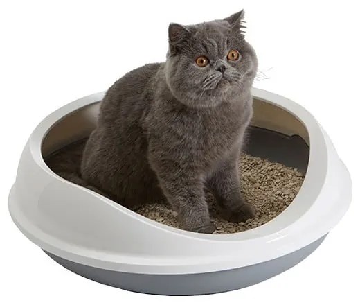 Fehér-szürke macskatoalett 49x55 cm Savic Figaro – Plaček Pet Products
