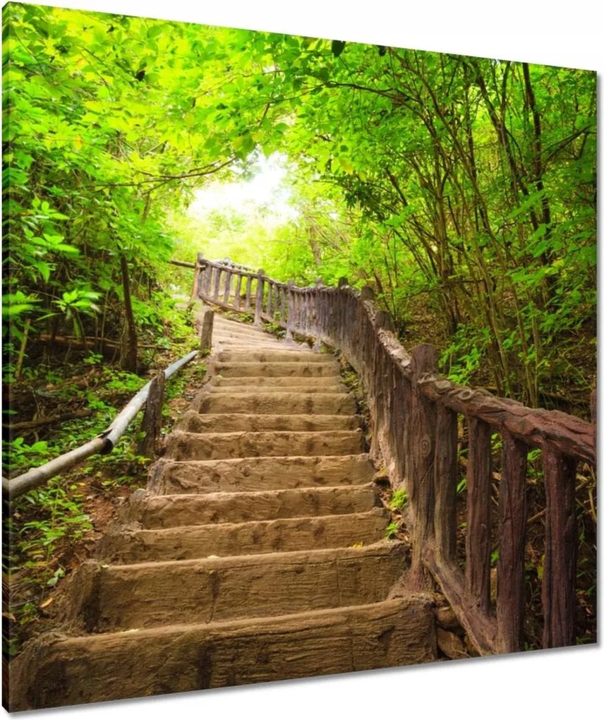 Vászonkép 80x80 Lépcsők az erdőbe