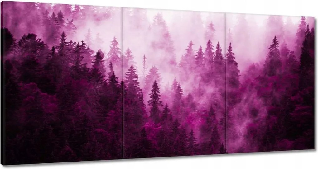 Vászonkép 120x60 Tájkép Rózsák Hegyek Köd