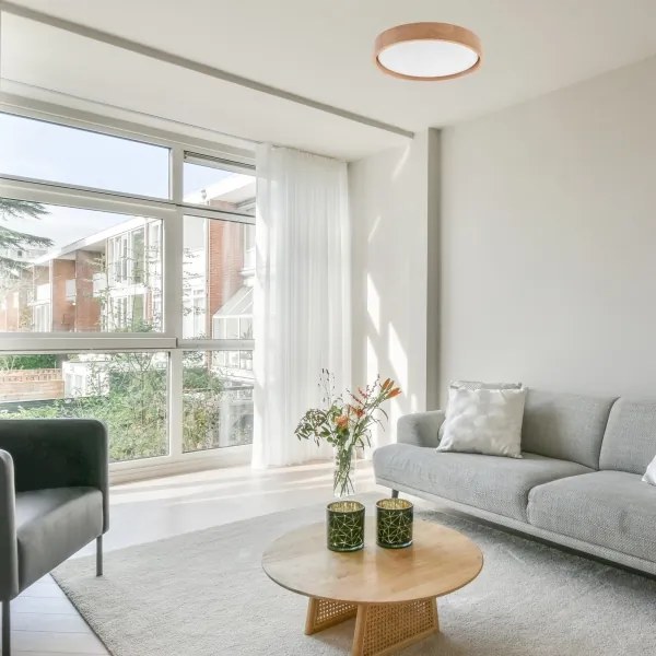 Brilagi - LED dimmelhető mennyezeti lámpa MANAROLA LED/24W/230V tölgy + távirányító