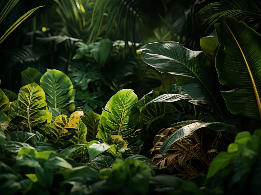 Poszter 20x15cm "a természet eldugott zuga